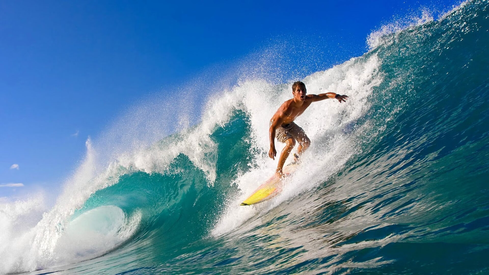 AIYOUXI-_猛龙队内线强硬，面对对手毫不退缩_，猛龙队员